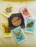 Sticker Pack of 14